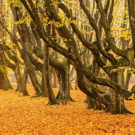 Palac Siemczyno Dış mekan fotoğraf